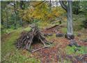 Veranstaltungsbild Finde es! Spannende Schatzsuche im Wald