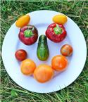 Veranstaltungsbild Buntes Grillen