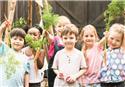 Veranstaltungsbild Ausflug in ein Gartenparadies
