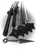 Veranstaltungsbild Ninjutsu – Hanbōjutsu – Kenjutsu